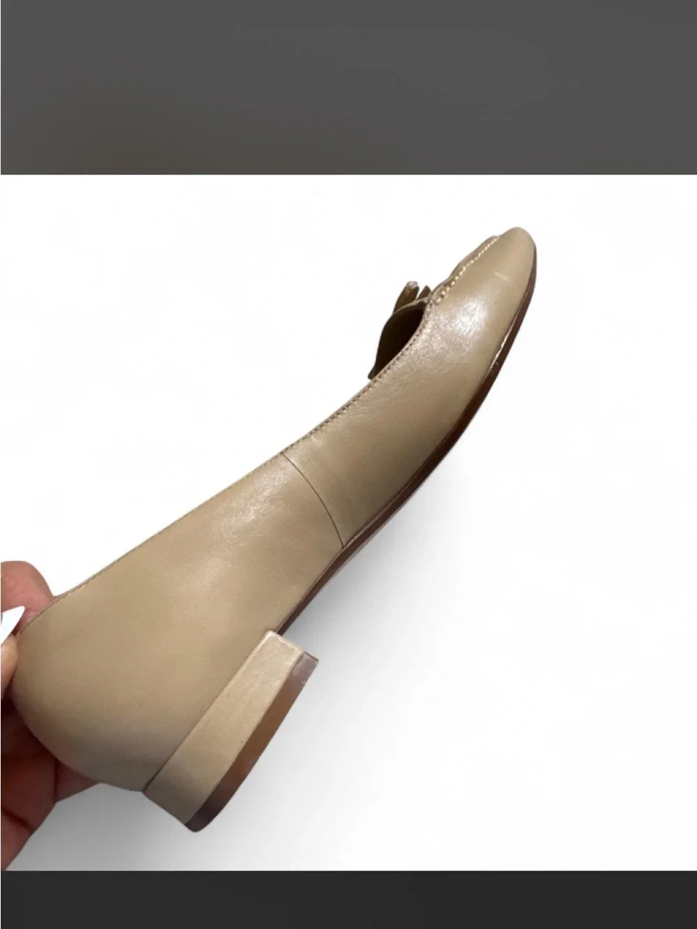 BCBG Classic Beige Pointed-Toe Women’s Flats